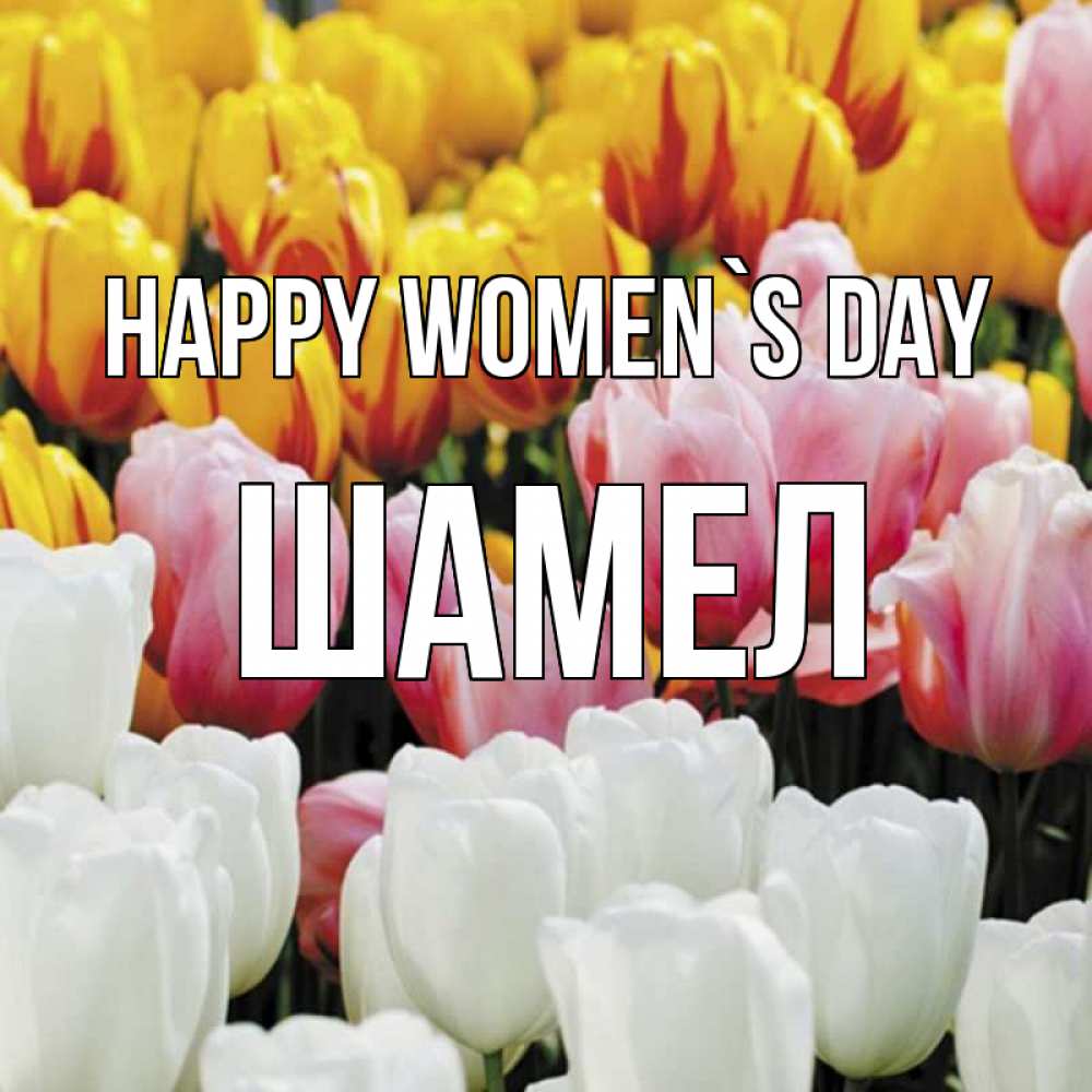 Greetings card с именем, ШАМЕЛ happy women`s day разноцветные цветы Greetings with text for free download 